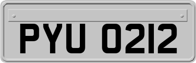 PYU0212