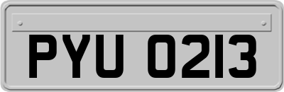 PYU0213