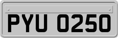 PYU0250