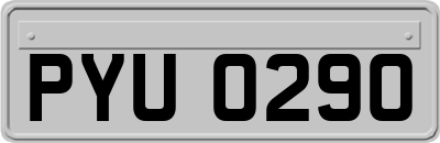 PYU0290