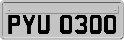 PYU0300