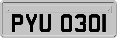 PYU0301