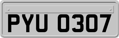 PYU0307