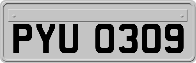 PYU0309