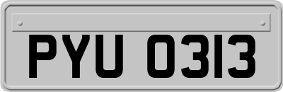 PYU0313