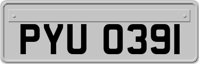 PYU0391