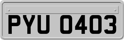 PYU0403