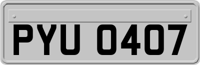 PYU0407