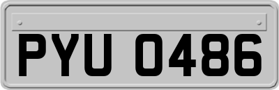 PYU0486