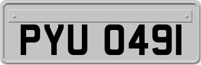 PYU0491