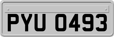 PYU0493