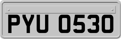 PYU0530