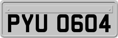 PYU0604