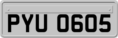 PYU0605