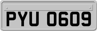 PYU0609