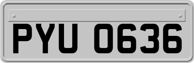 PYU0636