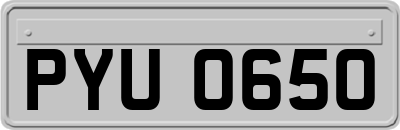 PYU0650