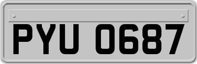 PYU0687