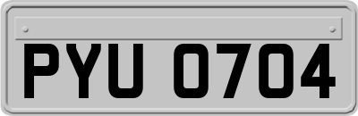 PYU0704