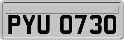 PYU0730