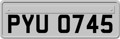 PYU0745