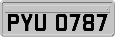 PYU0787