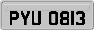 PYU0813