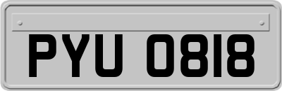 PYU0818