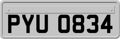 PYU0834