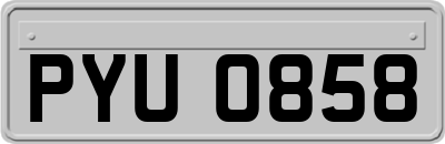 PYU0858