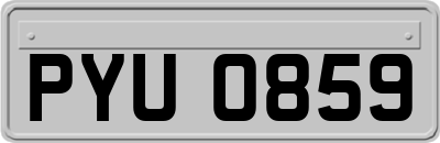 PYU0859