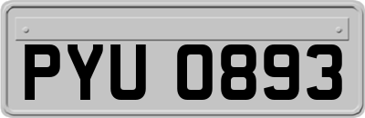 PYU0893