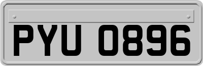 PYU0896