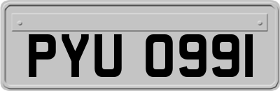 PYU0991