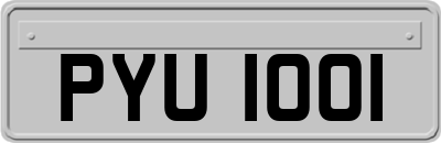 PYU1001