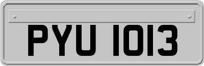 PYU1013