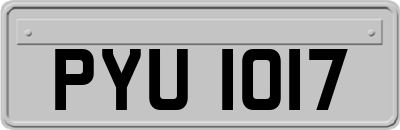 PYU1017