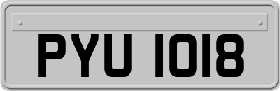PYU1018