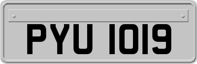 PYU1019