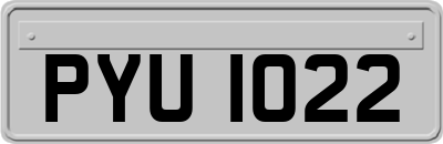 PYU1022