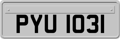 PYU1031