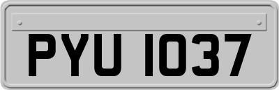 PYU1037