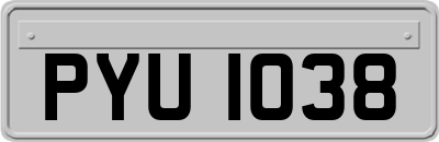 PYU1038