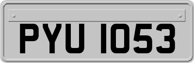 PYU1053