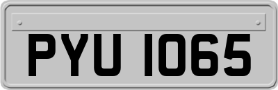 PYU1065