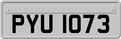 PYU1073