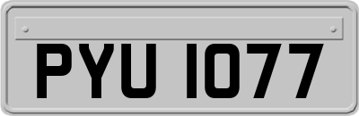 PYU1077