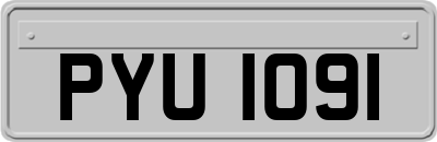 PYU1091