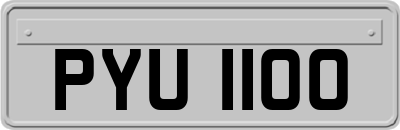 PYU1100