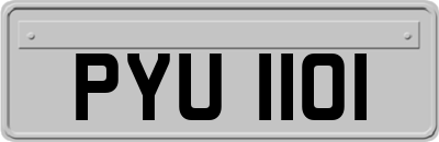 PYU1101